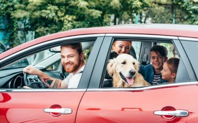Auto Maintenance: Is Your Car Ready For Thanksgiving?